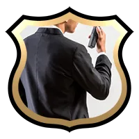 Segurança em Eventos